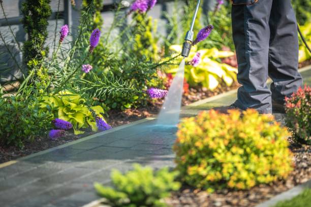 Best Restaurant Pressure Washing  in St Ansgar, IA