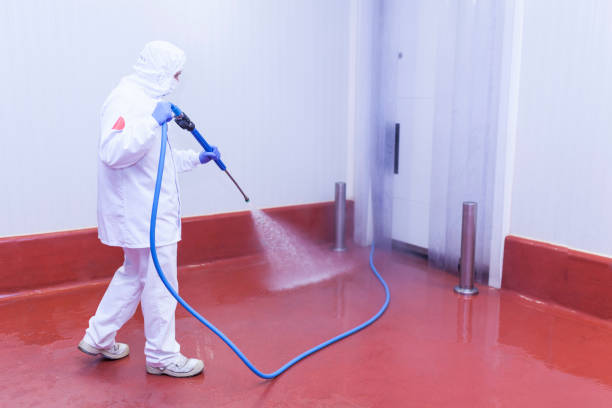 Best Building Exterior Washing  in St Ansgar, IA