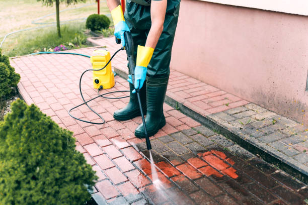 Best Graffiti Removal  in St Ansgar, IA