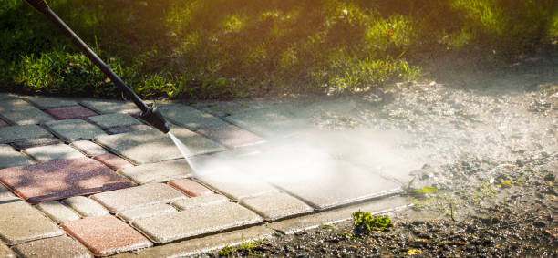 Best Gutter Cleaning  in St Ansgar, IA